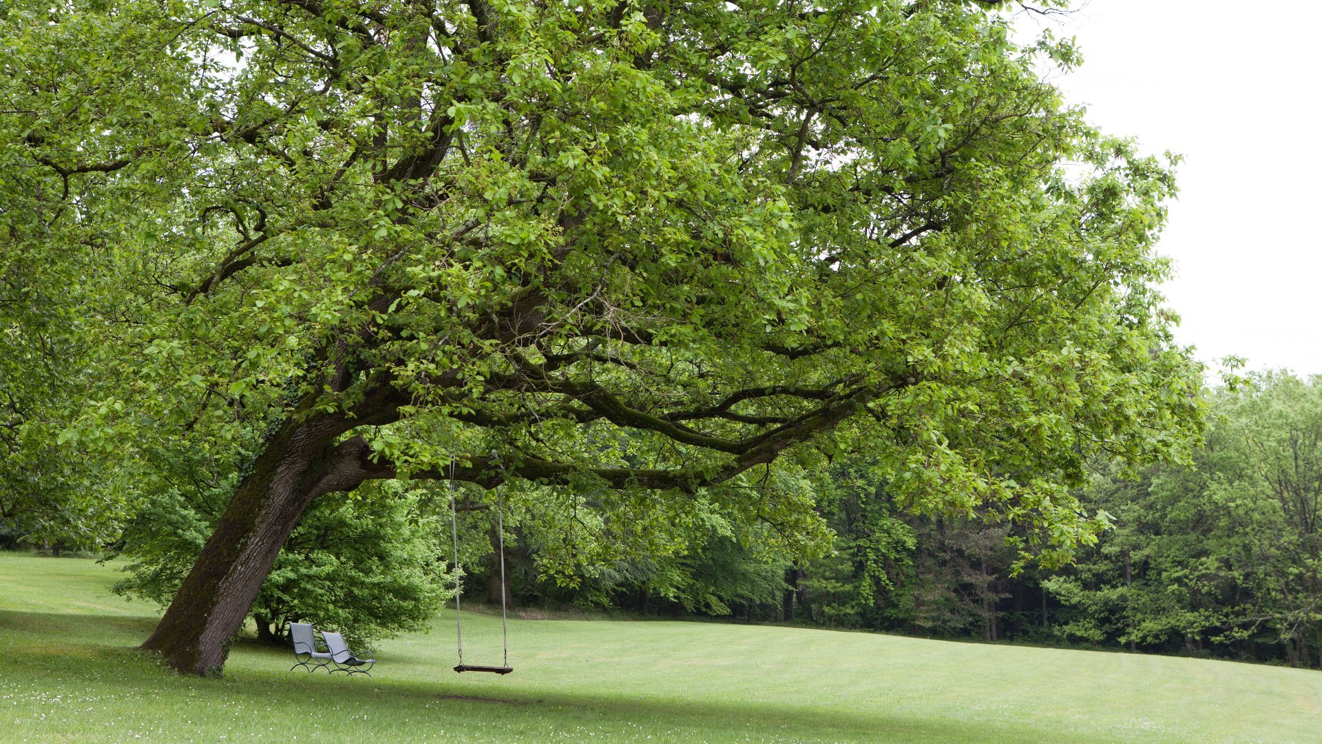BON CADEAU D'UNE VALEUR DE 100€